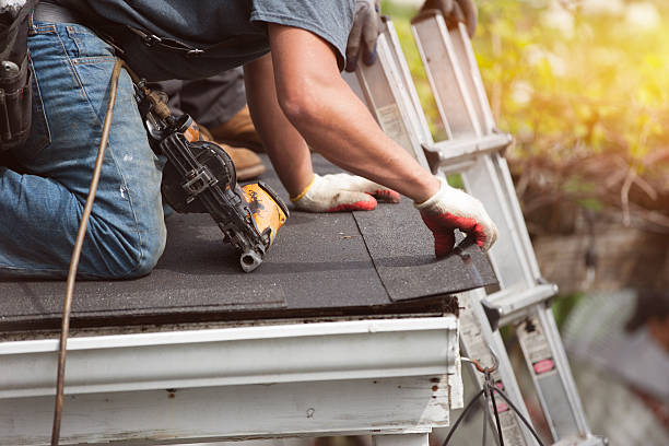 Best Local Roofing Companies  in Grafton, ND